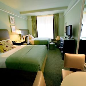 Double Studio Two Double Beds